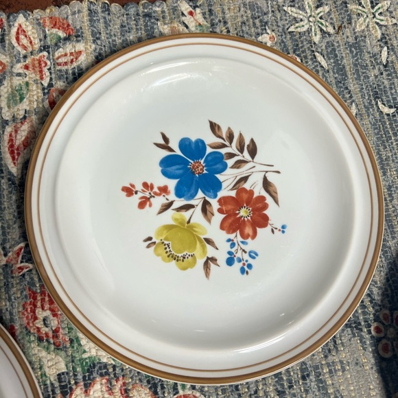 70's "Priscilla" by Colonial Stoneware • 4 Dinner Plates • Bold Botanical Print - Picture 3 of 5